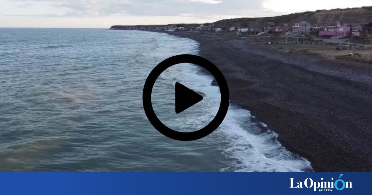 cámaras de seguridad captaron el ataque del perro que mató a una niña de 5 años en una playa de Chubut