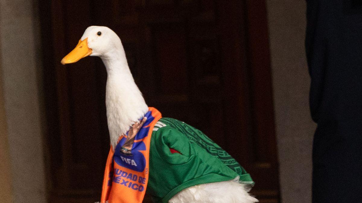 Pato Merlín: ¿Cómo registrar una marca ante el IMPI y cuánto cuesta?