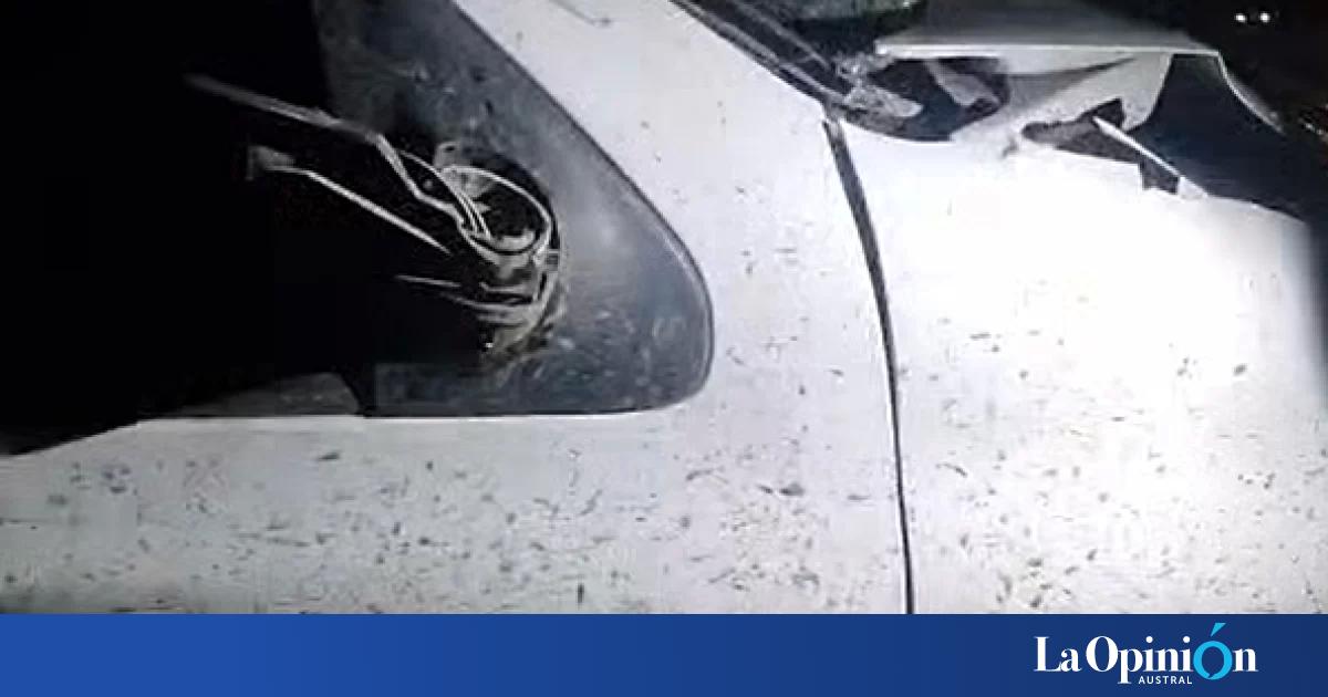 "Casi lo mata al chico": un caballo se cruzó en la ruta y fue embestido por un joven en las afueras de Río Gallegos