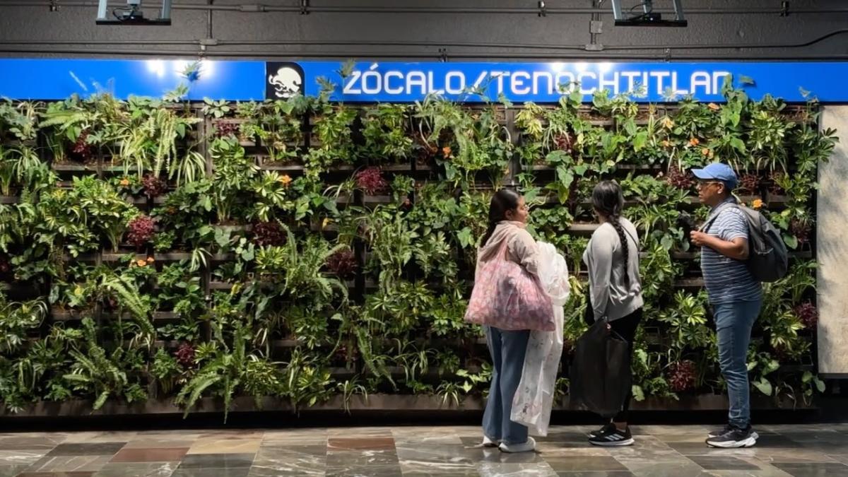 Muros verdes del Metro costaron más de 5 mil pesos por metro cuadrado