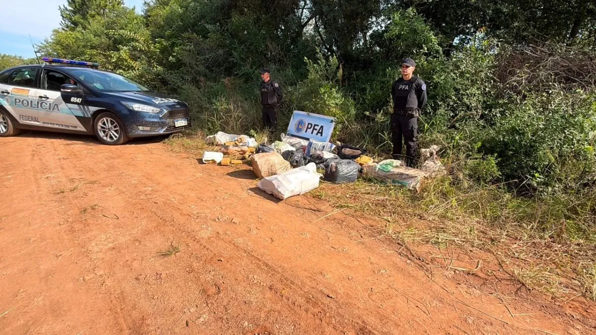 San José: secuestraron más de 236 kilogramos de marihuana