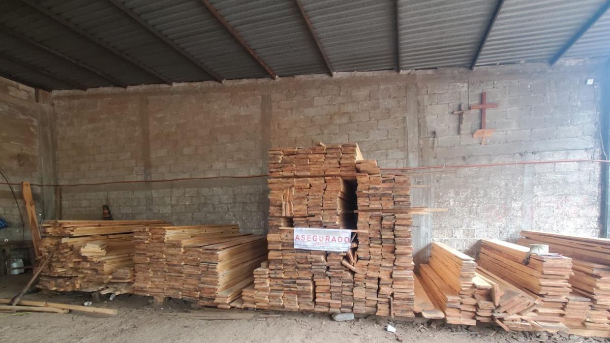 Clausura aserradero en Puebla; aseguran más de 37 metros cúbicos de madera