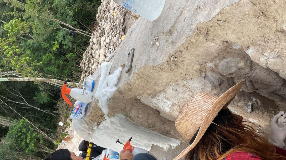 Arqueólogos exigen transparentar presupuesto y reformar el Consejo de Arqueología