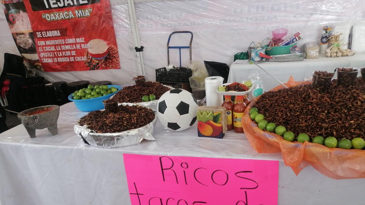 Tacos de chapulines, cocodrilo y jabalí deleitan paladares en Neza