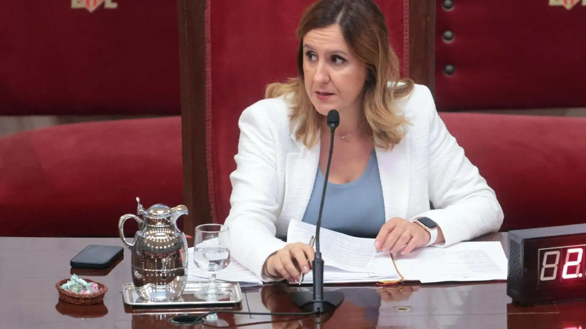 Catalá, en la comisión de la DANA: "Nadie avisó a la ciudad de Valencia de que venía una riada"