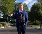Trump's loyalist intelligence chief pick throws into doubt renewal of critical surveillance program