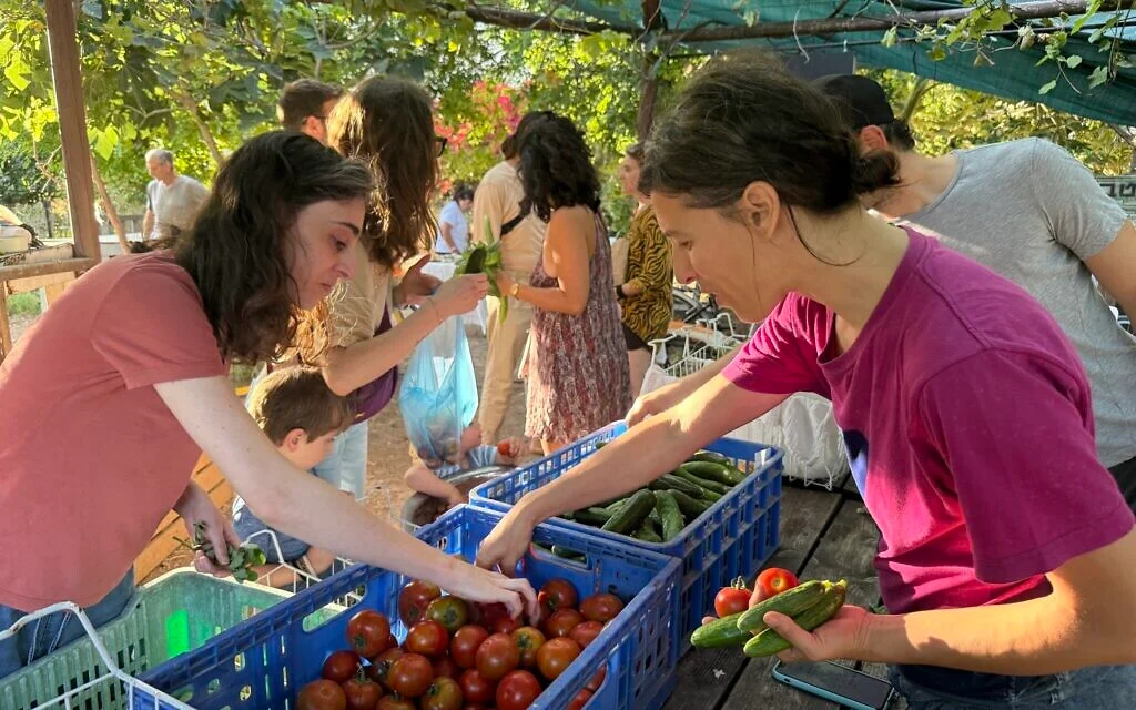 In south Tel Aviv, organic plant waste powers an eco-friendly mini-economy