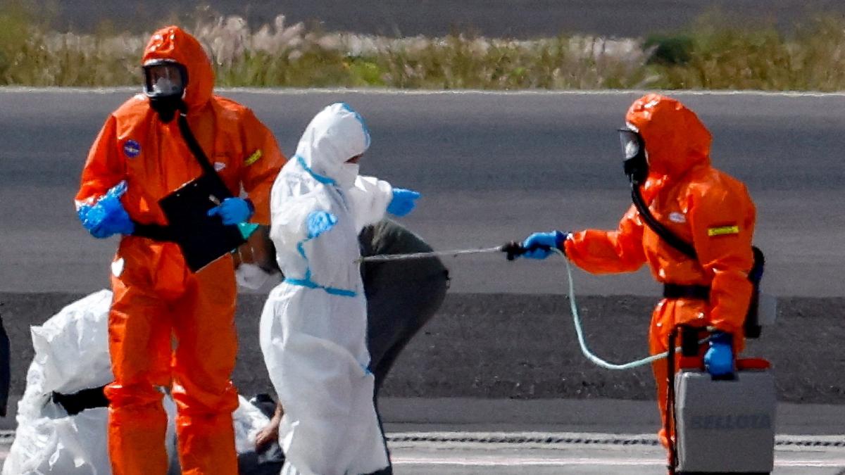 OMS anunciará fin del brote de hantavirus en el MV Hondius