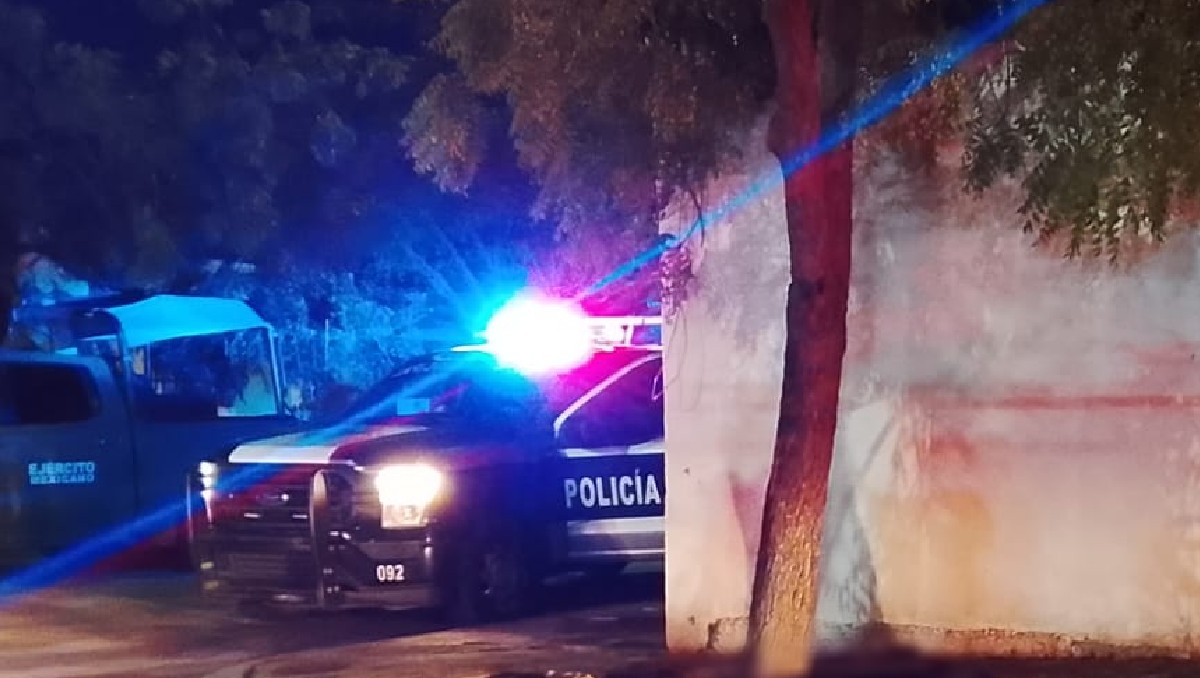 Acusan a mujer de matar a un perro con arma blanca en Culiacán