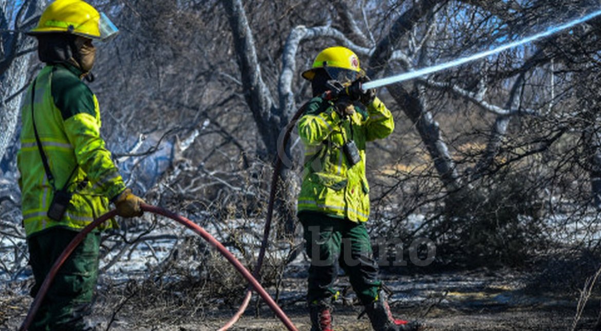 El fuego arrasó 200 hectáreas y abren una investigación judicial en Cafayate