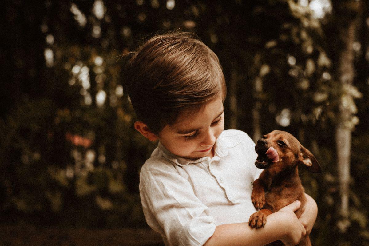 Más mascotas que niños en España