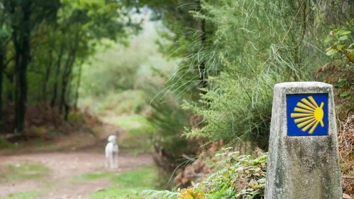 Qué es el Camino de Santiago y sus rutas