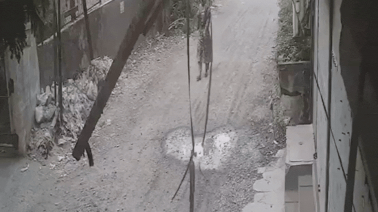 Maharashtra man stabs women multiple times over personal dispute, chilling CCTV footage surfaces