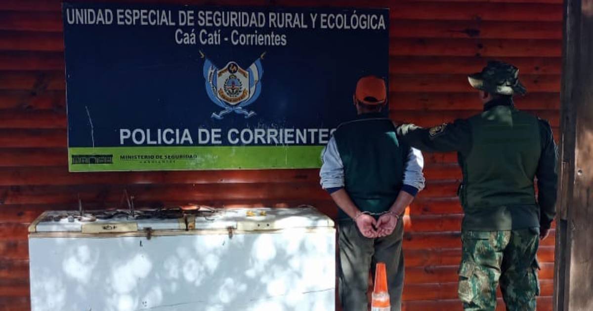 Detuvieron a un hombre por abigeato en Corrientes