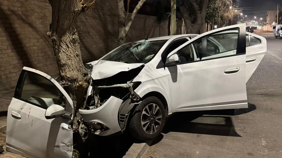 Murió un automovilista tras chocar cona una camioneta y estrellarse contra un árbol