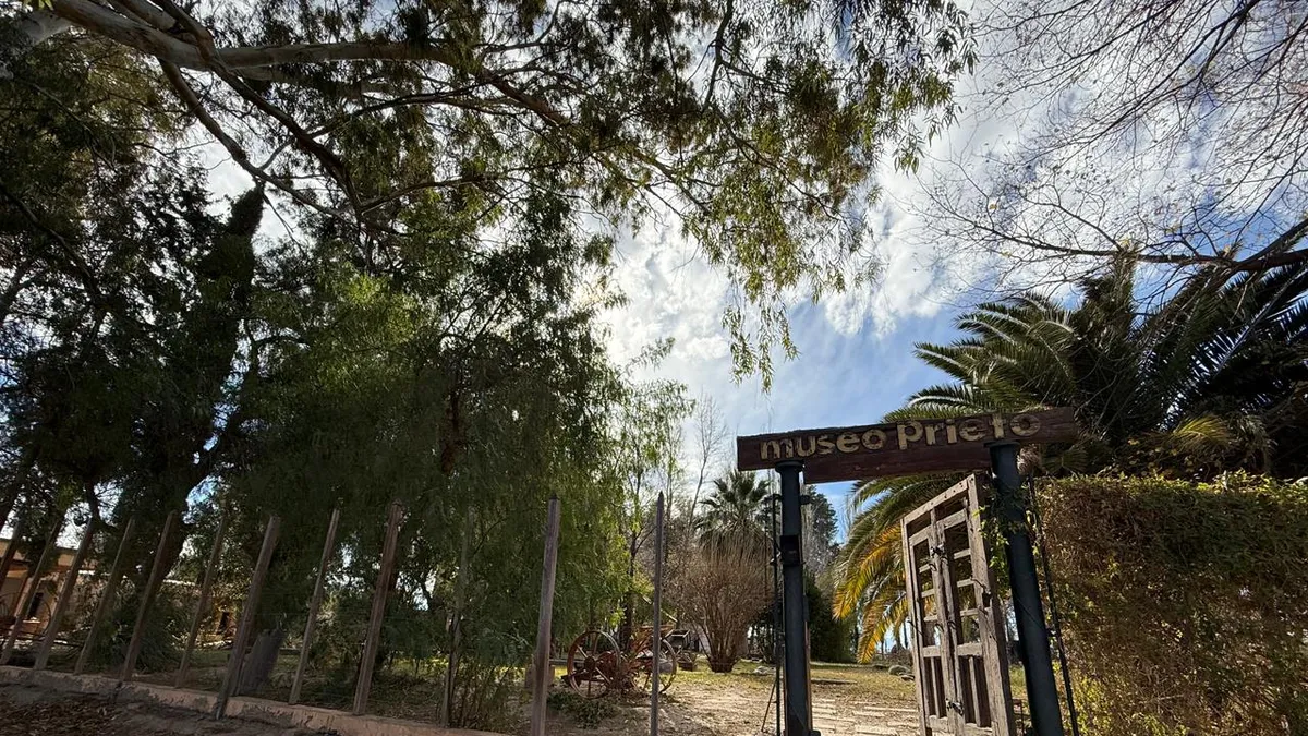 Entre petroglifos y urnas funerarias, los tesoros arqueológicos que resguarda el Museo Prieto en Jáchal