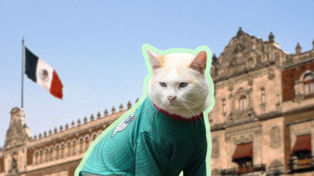 Coco, el gatito de Palacio Nacional, que luce jersey de la Selección Mexicana