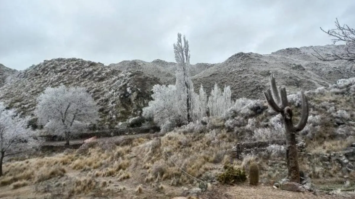 Valle Fértil amaneció cubierto de nieve y regaló postales únicas en las sierras e Ischigualasto