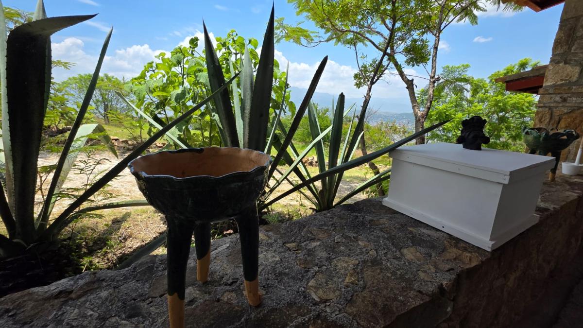De la tierra al arte: la alfarería tradicional se adueña de la zona arqueológica de Atzompa