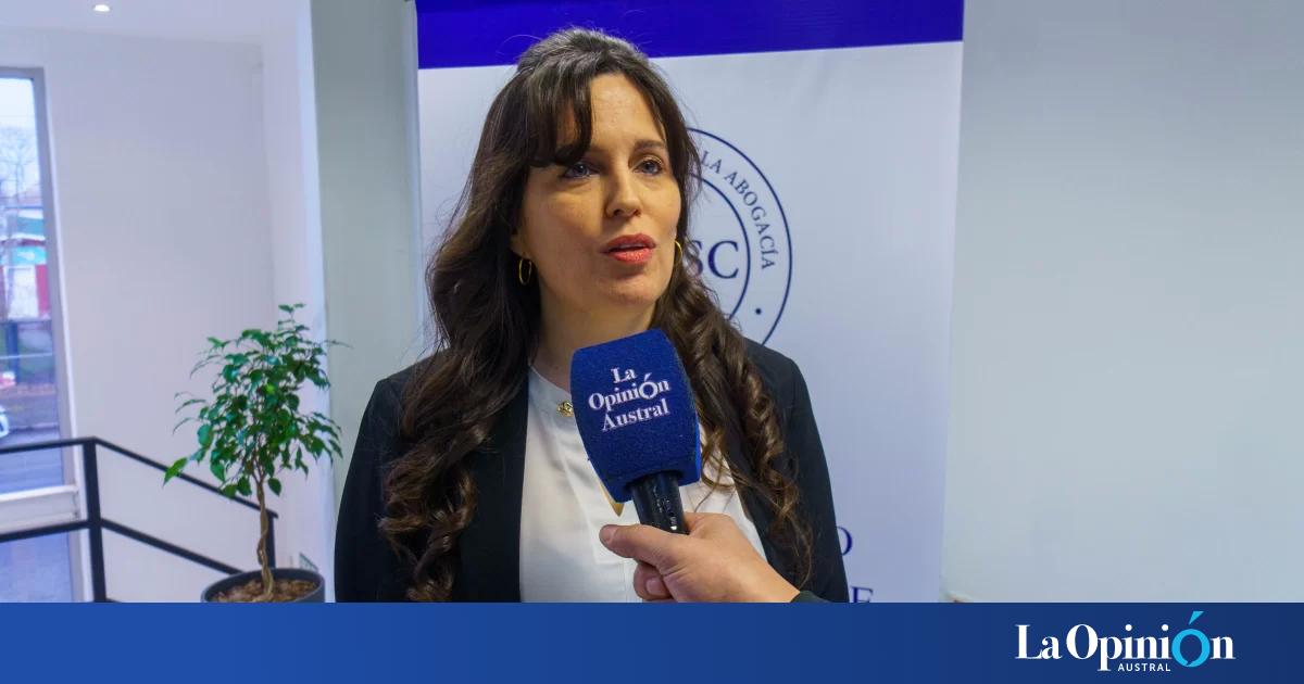 El Colegio de Abogados solicitó el Tribunal Superior de Justicia una auditoria de juzgados en la zona sur