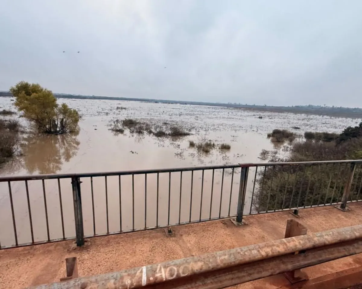 Santo Tomé: el río Uruguay sigue en ascenso, sube cuatro centímetro por hora