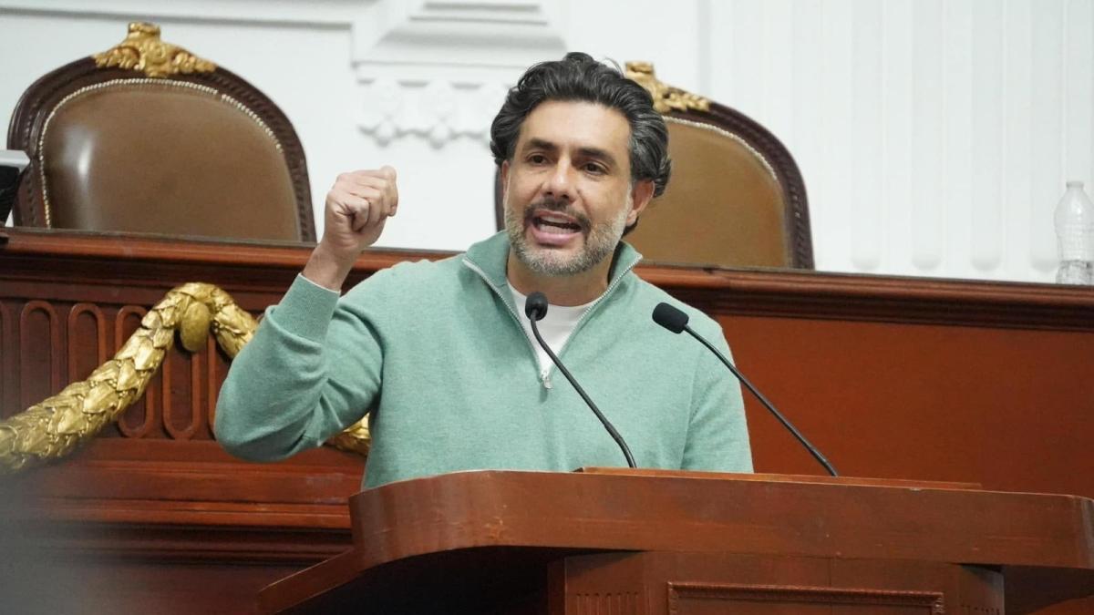 Buscan reformar Ley de alcaldías para blindar con recursos fijos la protección animal en CDMX