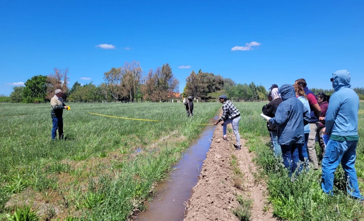 Lanzan una nueva línea crediticia para productores del área bajo riego