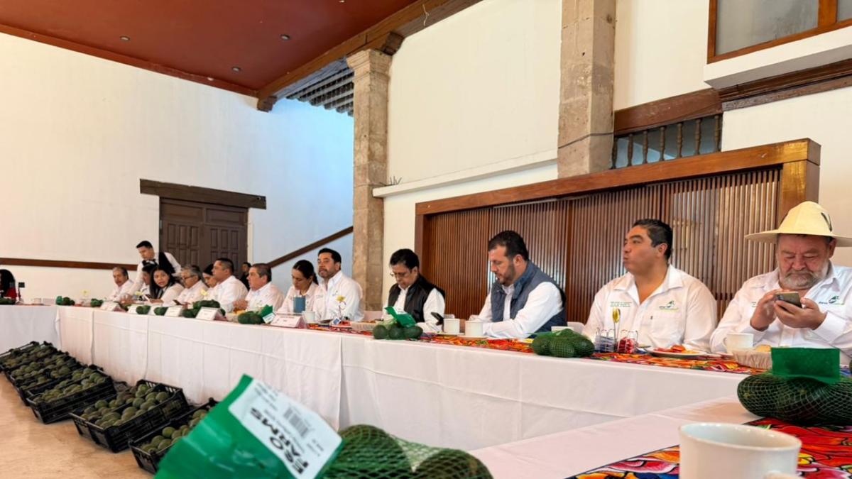 Aguacateros acusan boicot contra exportaciones
