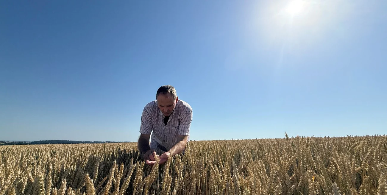 Warrants: el desafío de transformar el crecimiento récord en más crédito para el agro
