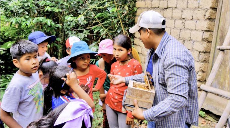 Proyecto para salvar abejas nativas sin aguijón gana Piensa Verde 2026