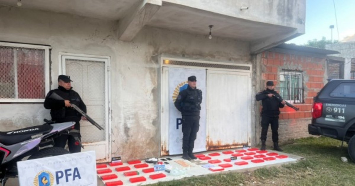 Cayó una banda narco con 40 kilos de cocaína con el peculiar logo de un "tiburón"