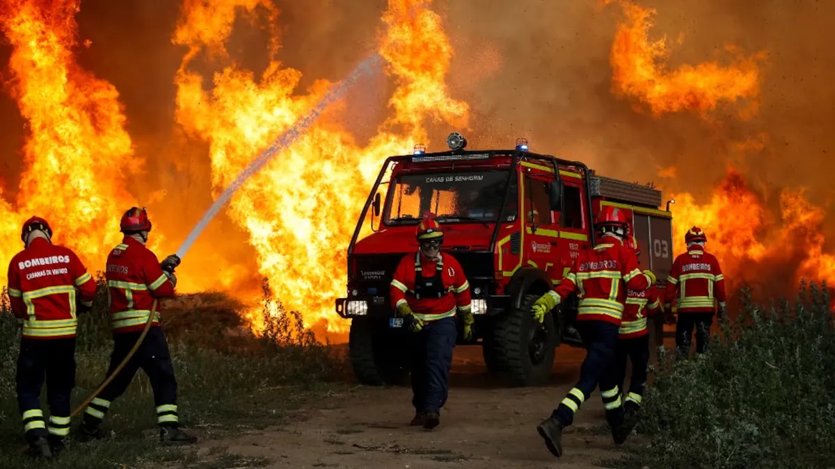 La ola de calor provocó incendios forestales en Francia, España y Portugal