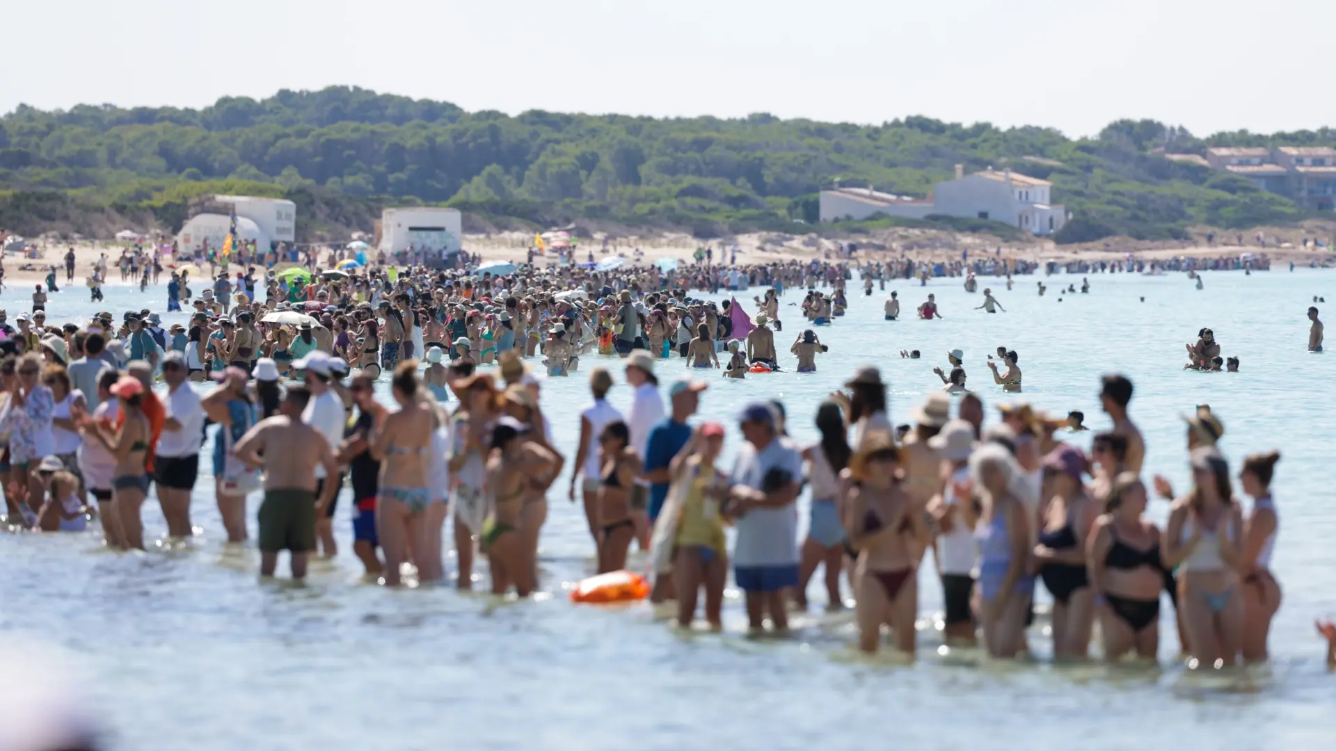 Miles de personas forman una cadena humana de tres kilómetros en defensa de los espacios naturales de Mallorca