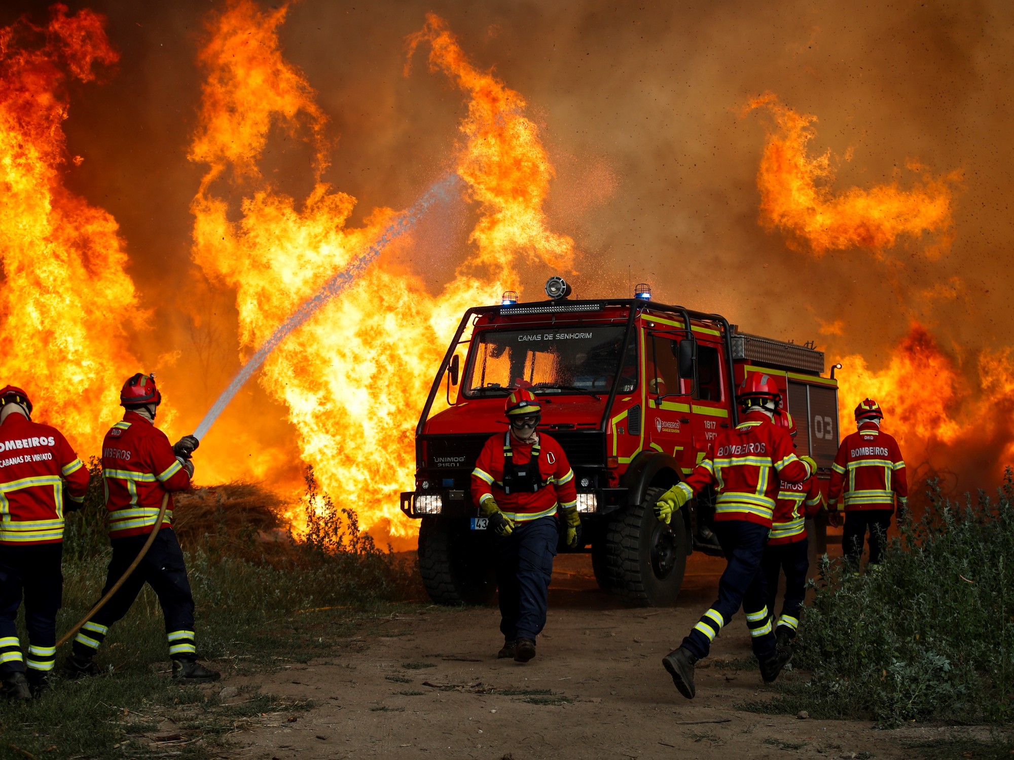 Ola de calor en Europa: el fuego destruyó miles de hectáreas de bosque y advierten que la temporada de incendios "va a ser larga"
