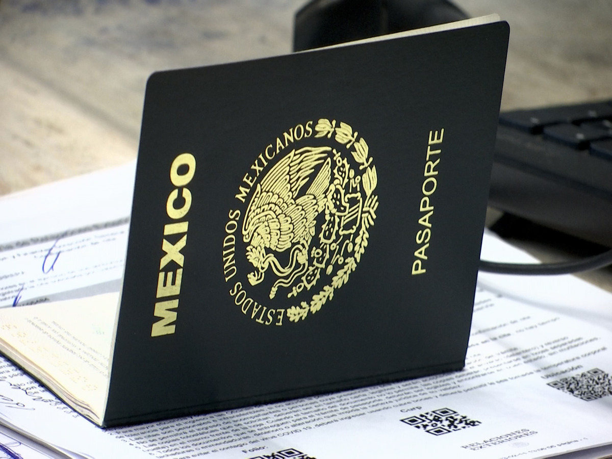 Trámite de pasaportes: aprueban dictamen vs fraudes cibernéticos