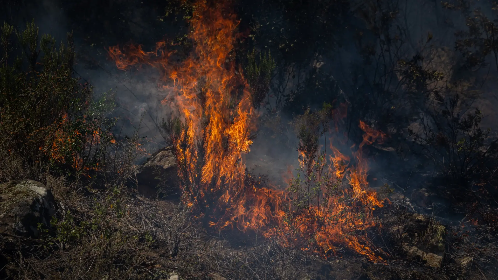 Detenido un hombre que prendió fuego en cuatro focos en el Empordà para provocar un incendio