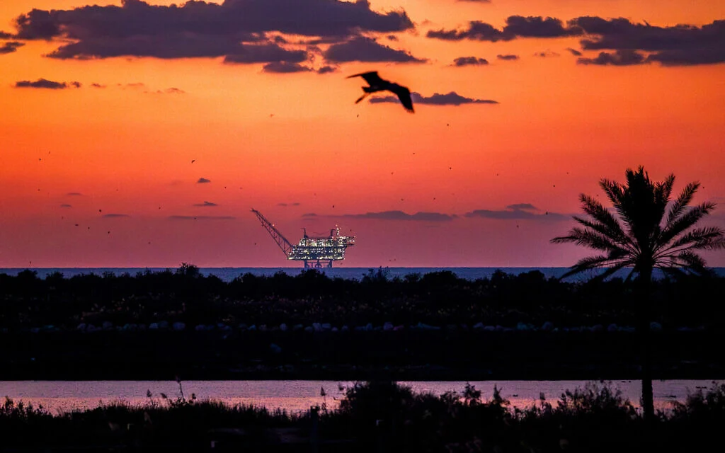 Israel launches tender to search for more natural gas in Mediterranean