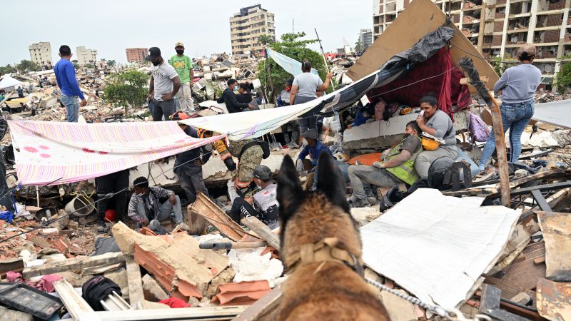 Four-legged heroes: international dog squad helps save lives after Venezuela earthquakes