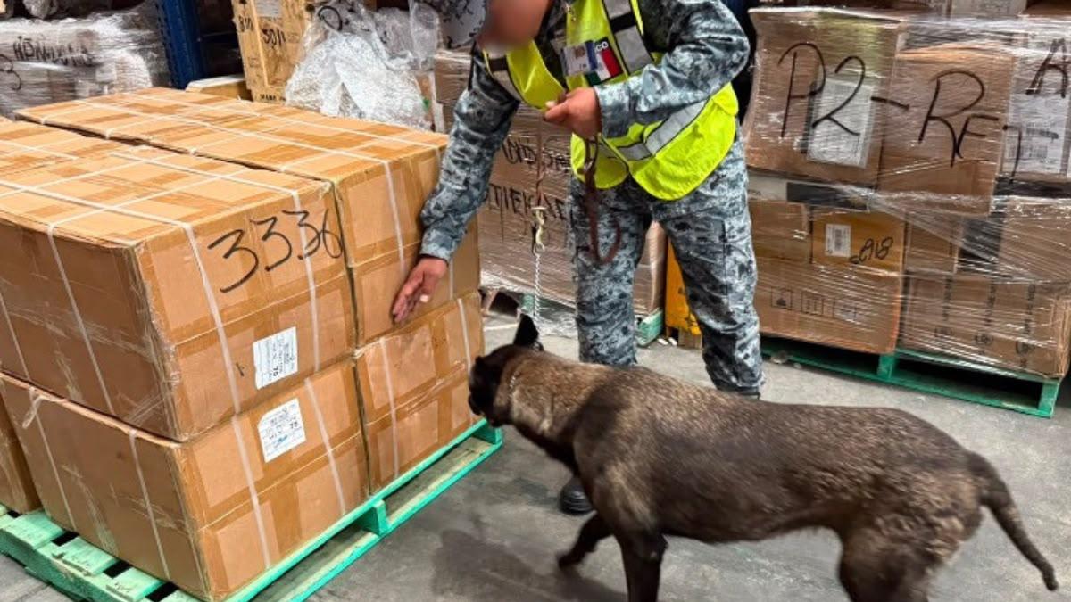 ¡Golpe al contrabando! Aseguran miles de cigarros de Bangkok en el AIFA