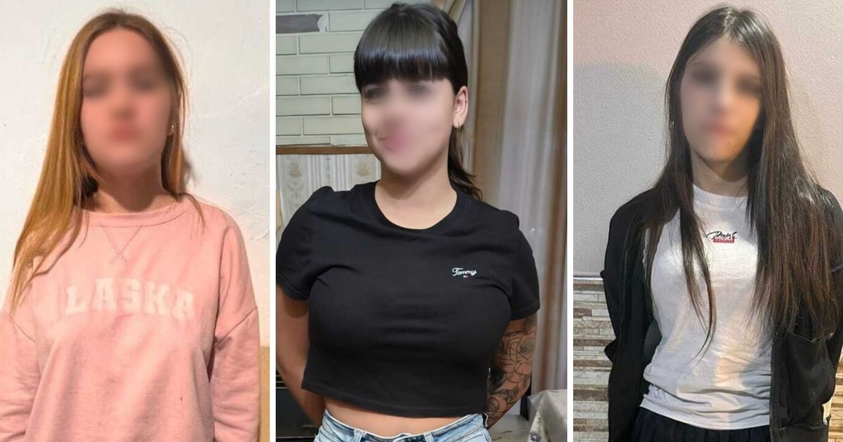 Seducción, emboscada y transferencias: así atacan las tarántulas, las nuevas viudas negras
