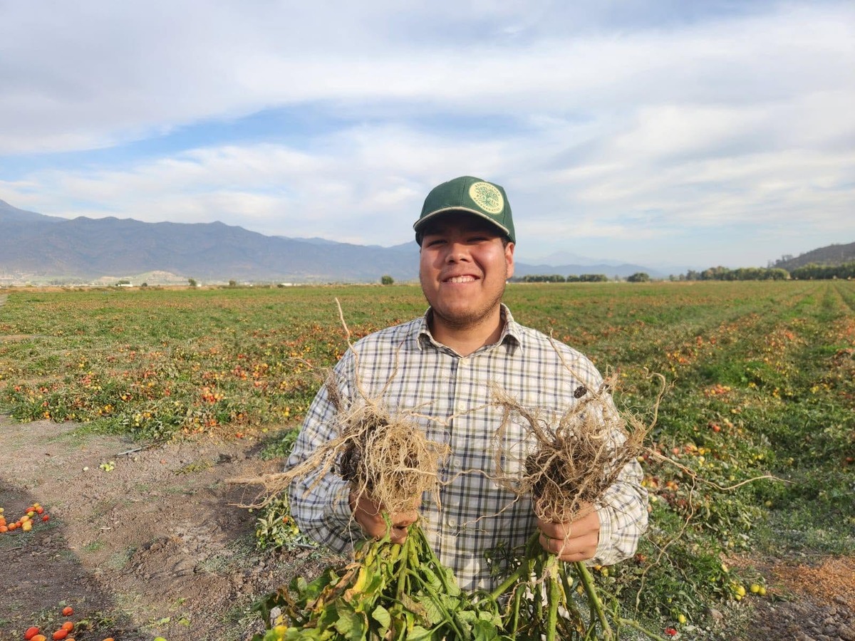 Agrómeda: Inteligencia artificial gratuita para el campo mexicano