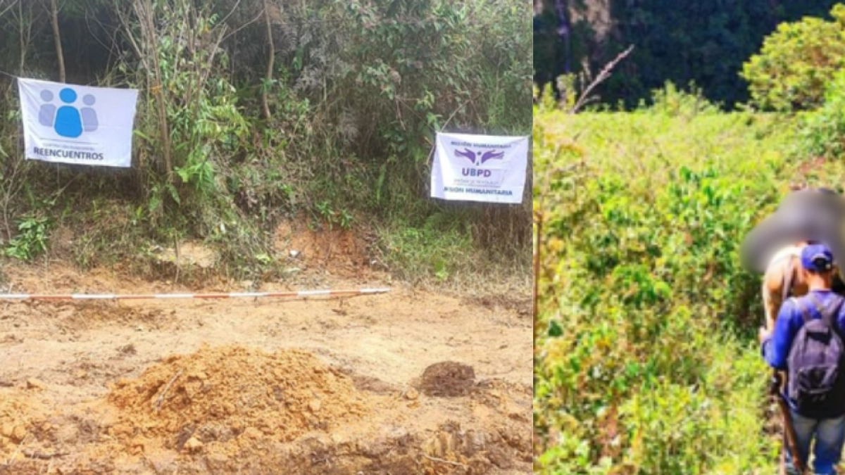 Hallan cinco cuerpos de desaparecidos del conflicto armado en el Parque Nacional Gloria Valencia de Castaño, en Tolima