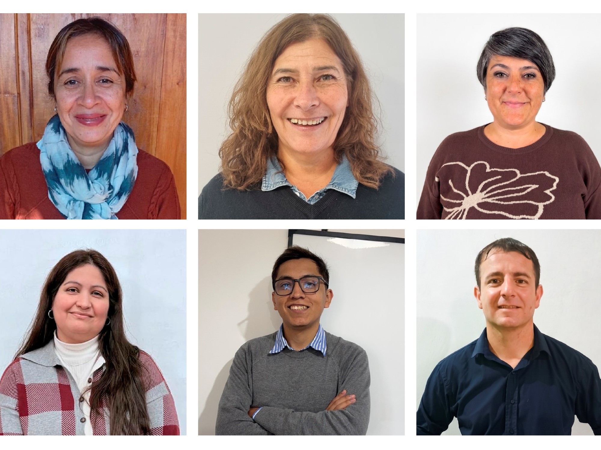 Ya fueron seleccionados los seis finalistas del premio Docentes que Inspiran