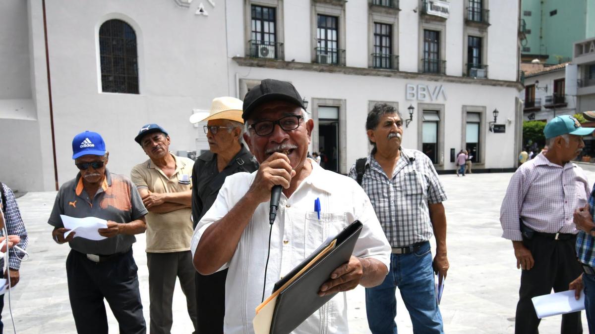 Cafetaleros de Veracruz exigen apoyos urgentes ante avance de la roya