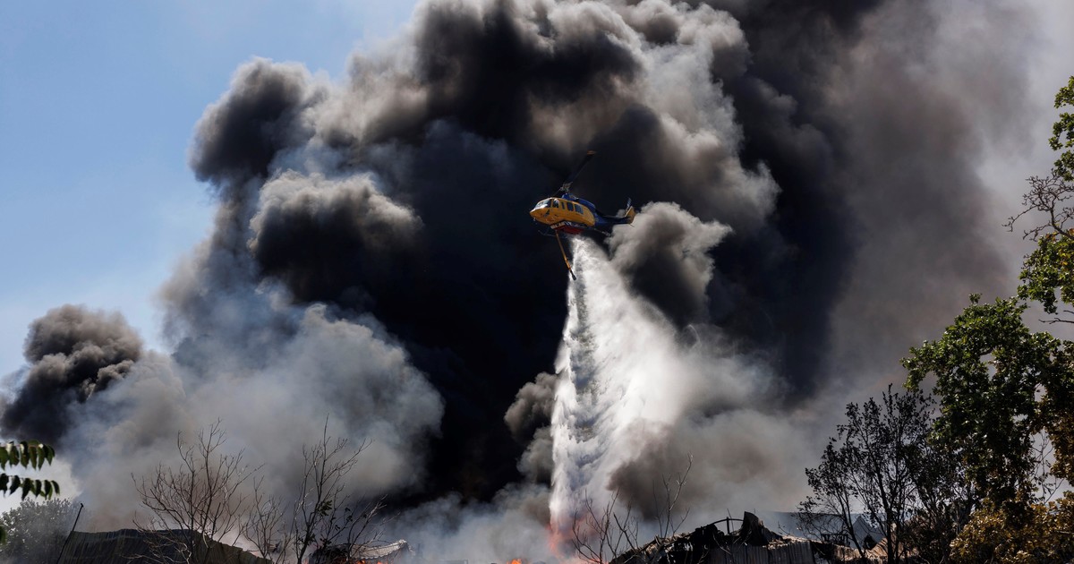 Los incendios queman bosques en Europa, alimentados por el calor extremo: casi 20.000 hectáreas arrasadas