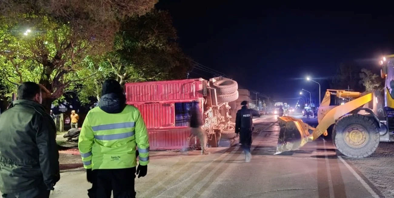 Volcó un camión jaula en ruta 11: algunos animales muertos y tránsito demorado