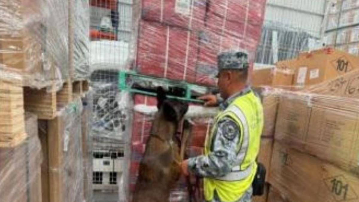 Detectan cargamento de 84 mil cigarros ilegales en el AIFA