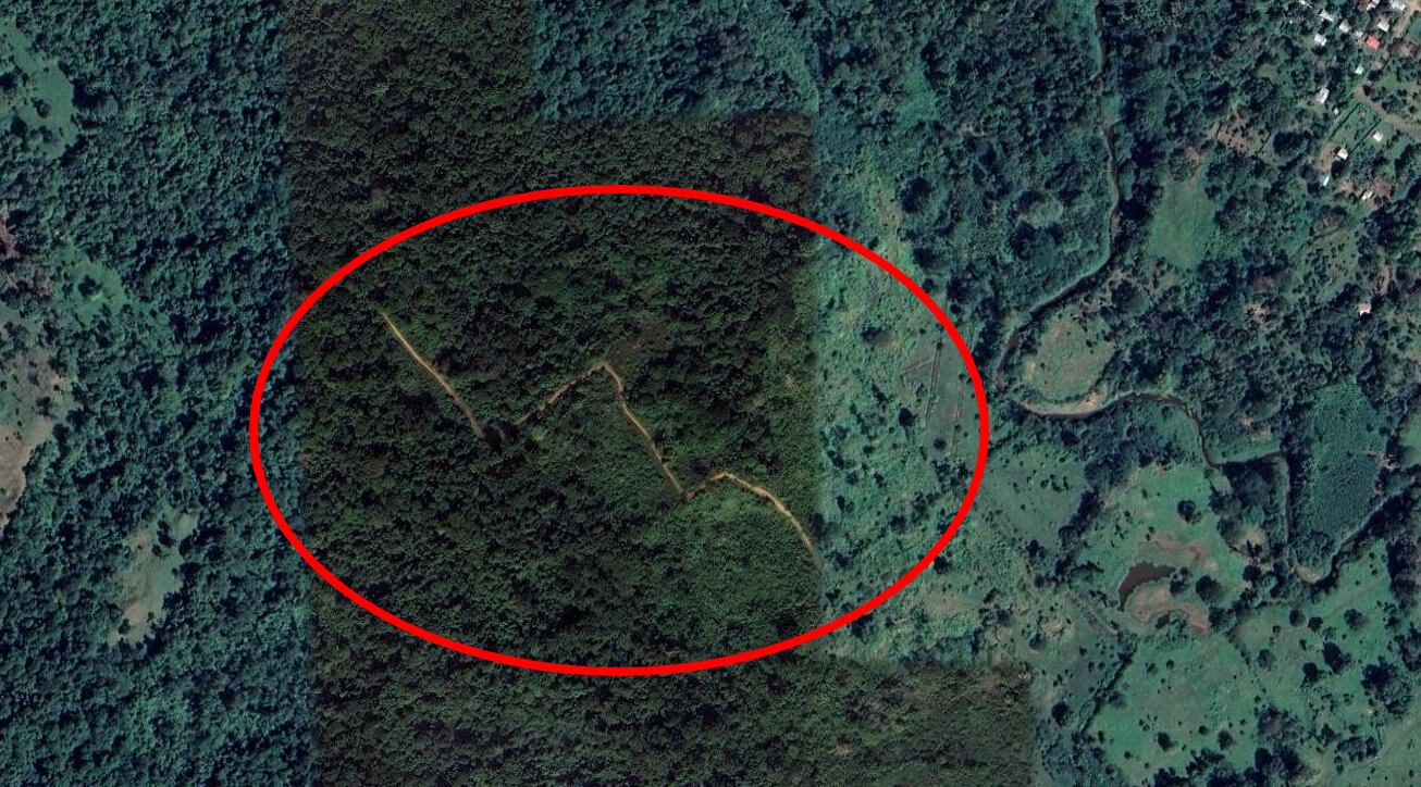 OIJ sugiere que Pecho de Rata tendría una segunda pista de clandestina en Cahuita, ¿realmente existe? Esto fue lo que encontramos