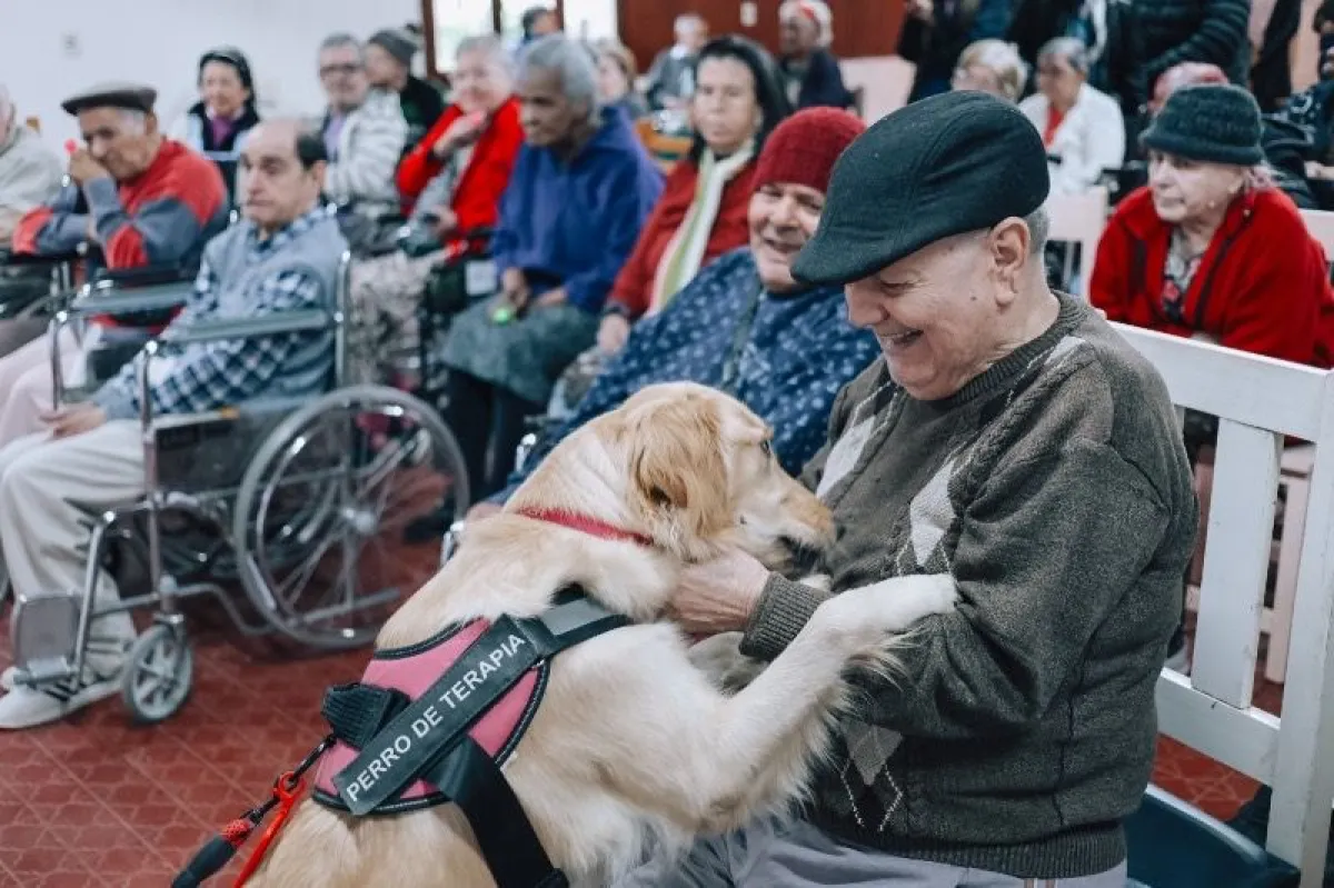 Adultos mayores participaron de actividades de neuroestimulación y terapia asistida con perros