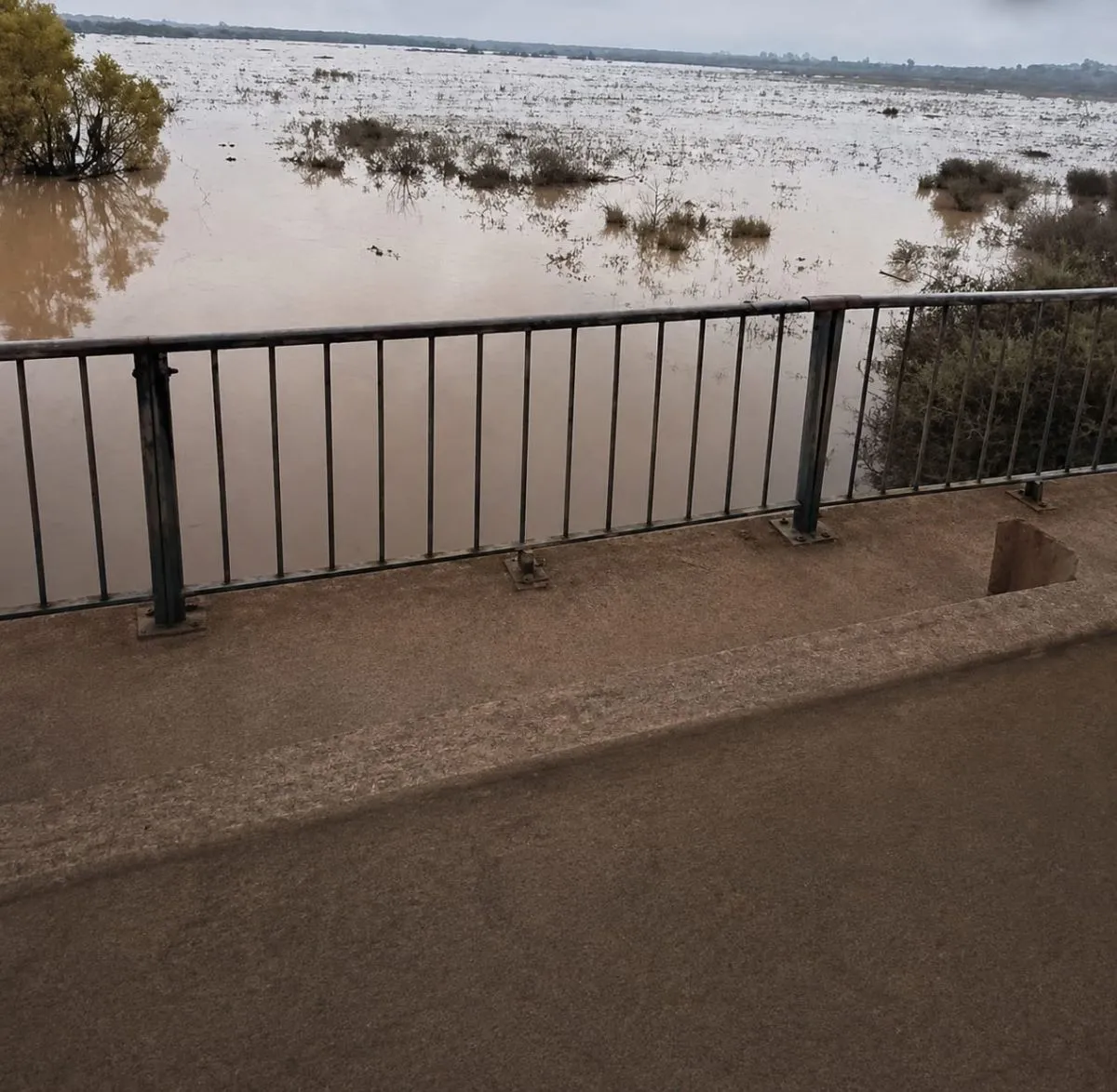 El río Uruguay permanece estable en Santo Tomé, pero advierten que podría volver a crecer en los próximos días